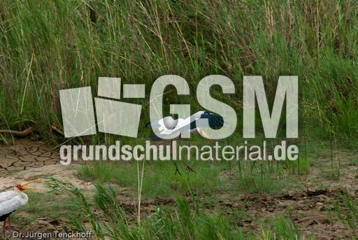 Nimmersatt (18 von 22).jpg